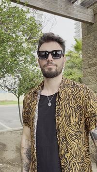 Micenas Tigris