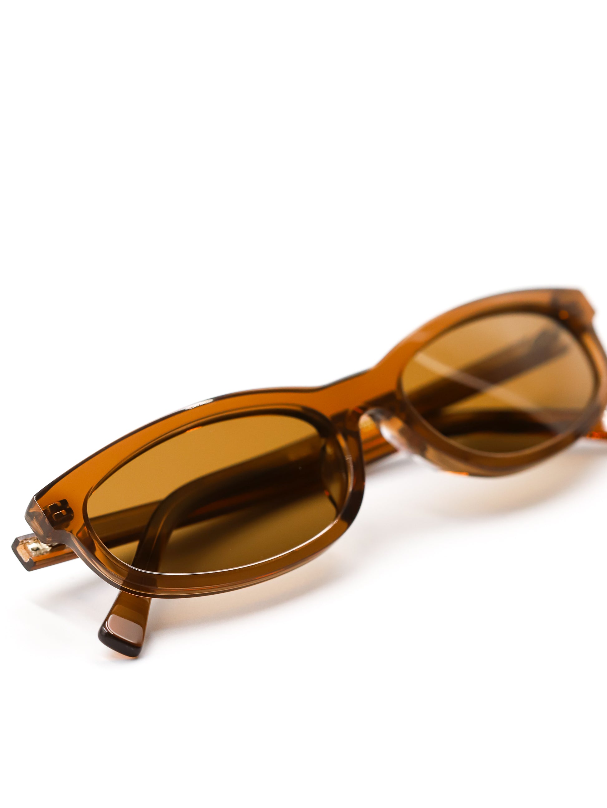 Brown sunglasses on a white background