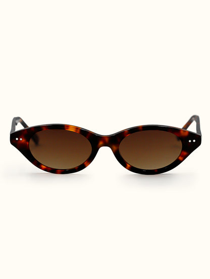 Solano Tigris